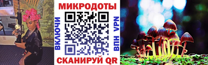 OMG ССЫЛКА  Тбилисская  Галлюциногенные грибы прущие грибы 